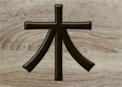 五行木多的人|雷門易：八字中木多木旺的人有哪些命運特征？